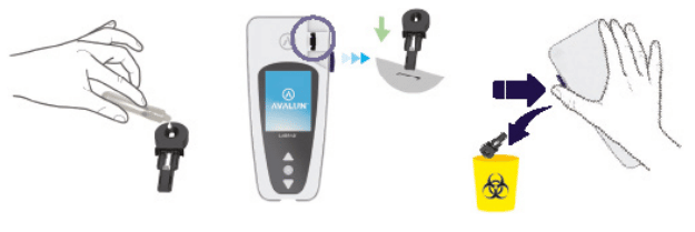 Procédure LABPAD antibody