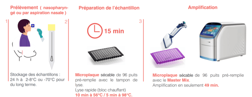 procédure d'utilisation ampliquick bordetella
